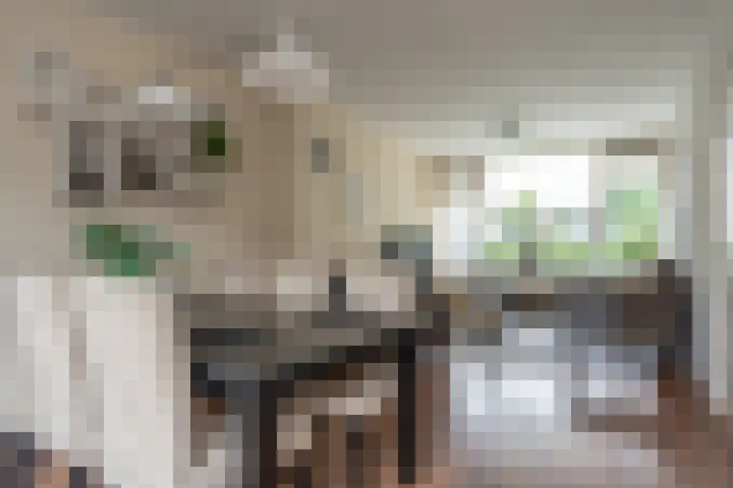 Populierenlaan 66 Groningen thumbnail 9
