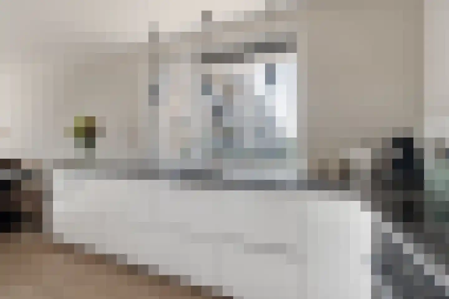 Populierenlaan 67 Zwanenburg thumbnail 12