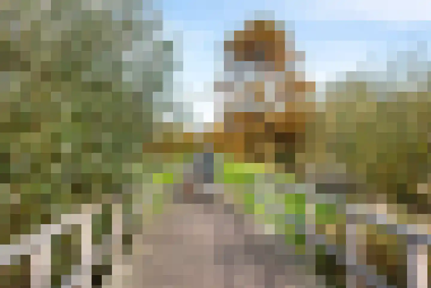 Populierenlaan 67 Zwanenburg thumbnail 35