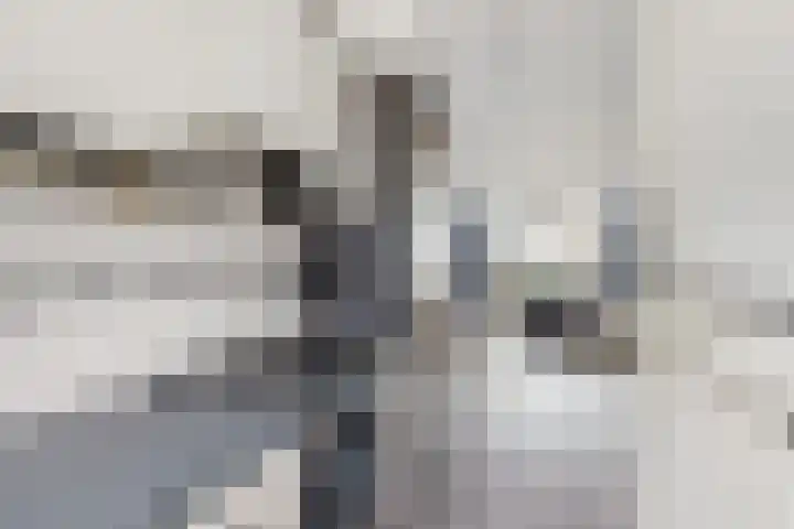 Populierenlaan 68 Zwanenburg thumbnail 11