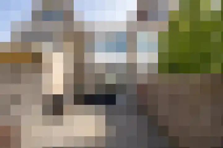 Populierenlaan 68 Zwanenburg thumbnail 13