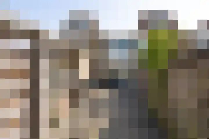 Populierenlaan 68 Zwanenburg thumbnail 14