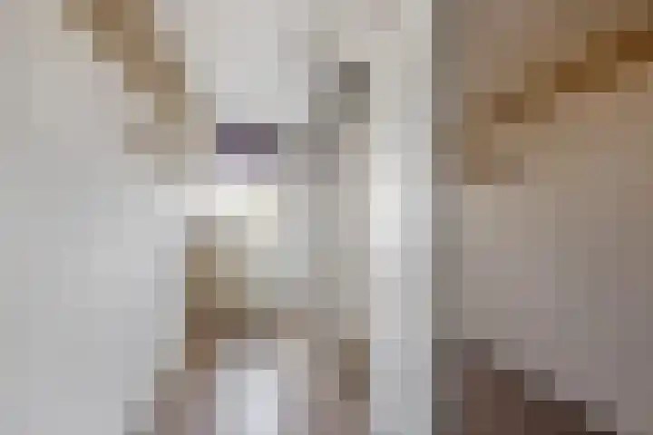 Populierenlaan 68 Zwanenburg thumbnail 18