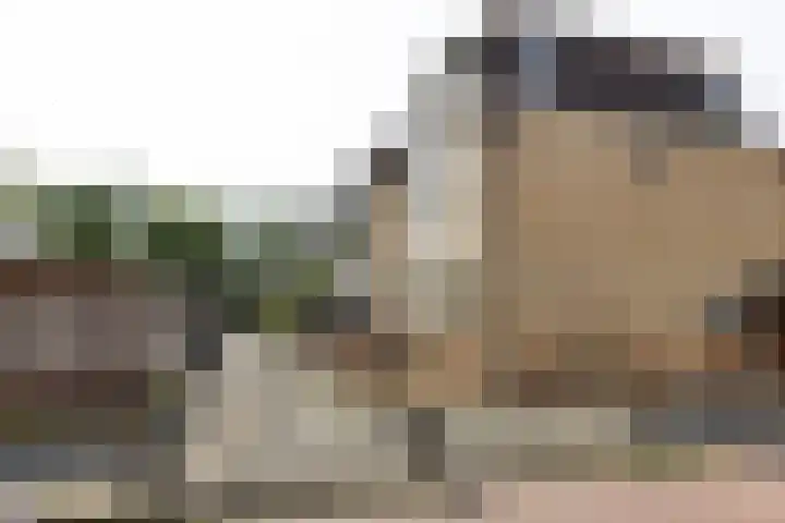 Populierenlaan 68 Zwanenburg thumbnail 21