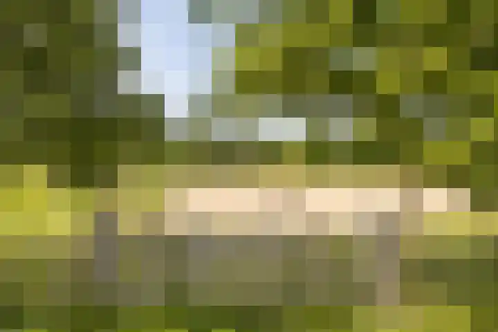 Populierenlaan 68 Zwanenburg thumbnail 22
