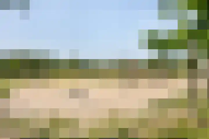 Populierenlaan 68 Zwanenburg thumbnail 23