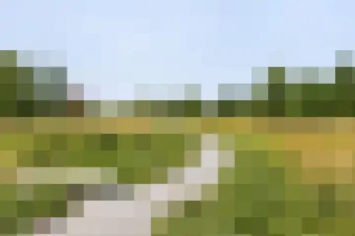 Populierenlaan 68 Zwanenburg thumbnail 24