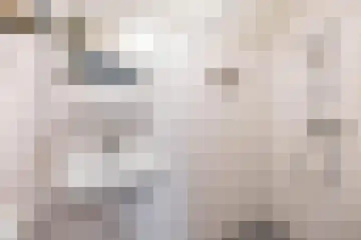 Populierenlaan 7 Hellum thumbnail 20