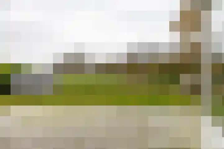 Populierenlaan 7 Hellum thumbnail 21