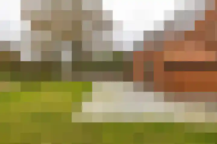 Populierenlaan 7 Hellum thumbnail 22