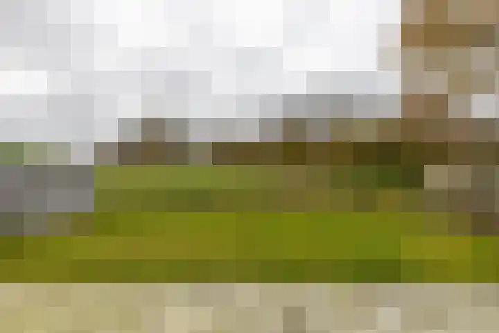 Populierenlaan 7 Hellum thumbnail 23