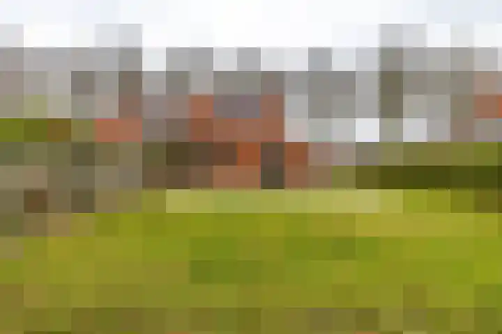 Populierenlaan 7 Hellum thumbnail 24