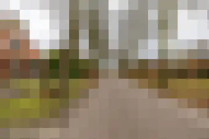 Populierenlaan 7 Hellum thumbnail 25