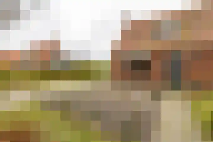 Populierenlaan 7 Hellum foto 3