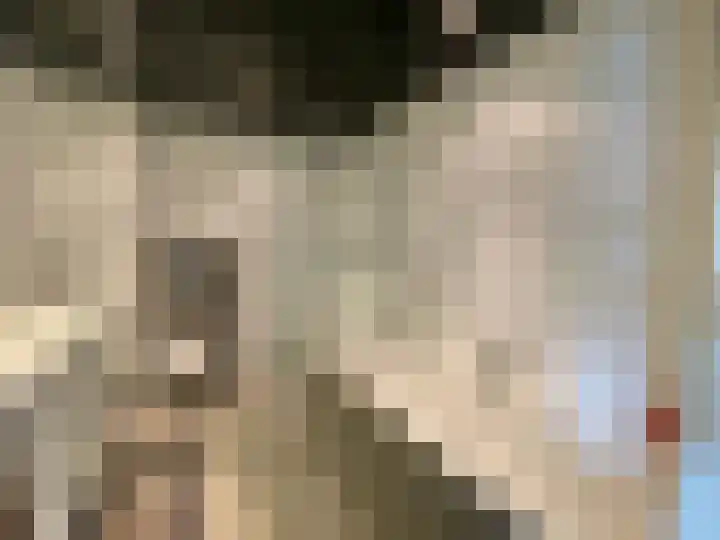 Populierenlaan 7 Nootdorp thumbnail 17