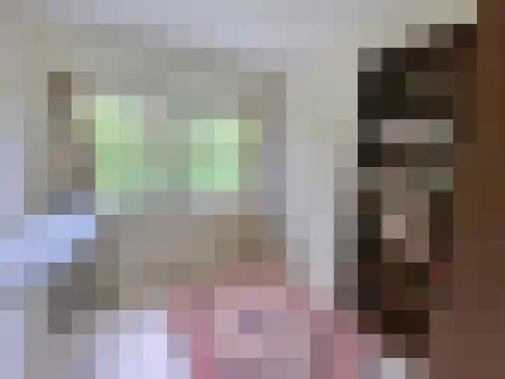 Populierenlaan 7 Nootdorp thumbnail 22