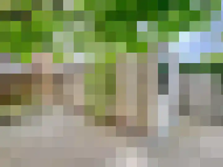 Populierenlaan 7 Nootdorp thumbnail 33