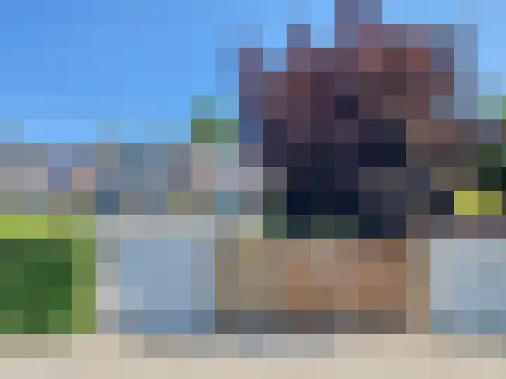 Populierenlaan 7 Nootdorp thumbnail 35