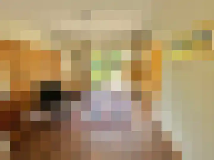 Populierenlaan 7 Nootdorp thumbnail 9