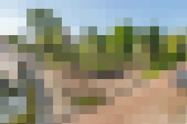 Populierenlaan 7 Veenendaal thumbnail 10