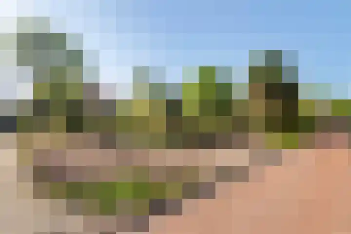 Populierenlaan 7 Veenendaal thumbnail 11