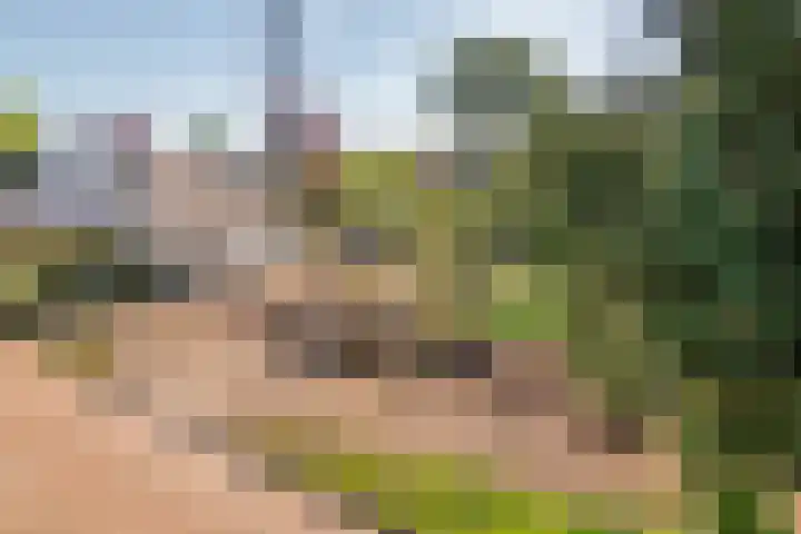 Populierenlaan 7 Veenendaal thumbnail 8