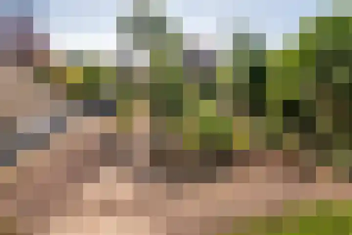 Populierenlaan 7 Veenendaal thumbnail 9