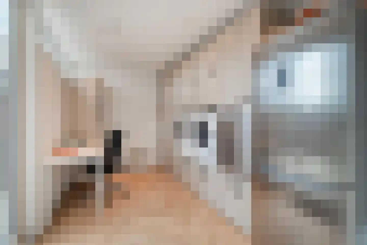 Populierenlaan 7 Wieringerwaard thumbnail 18