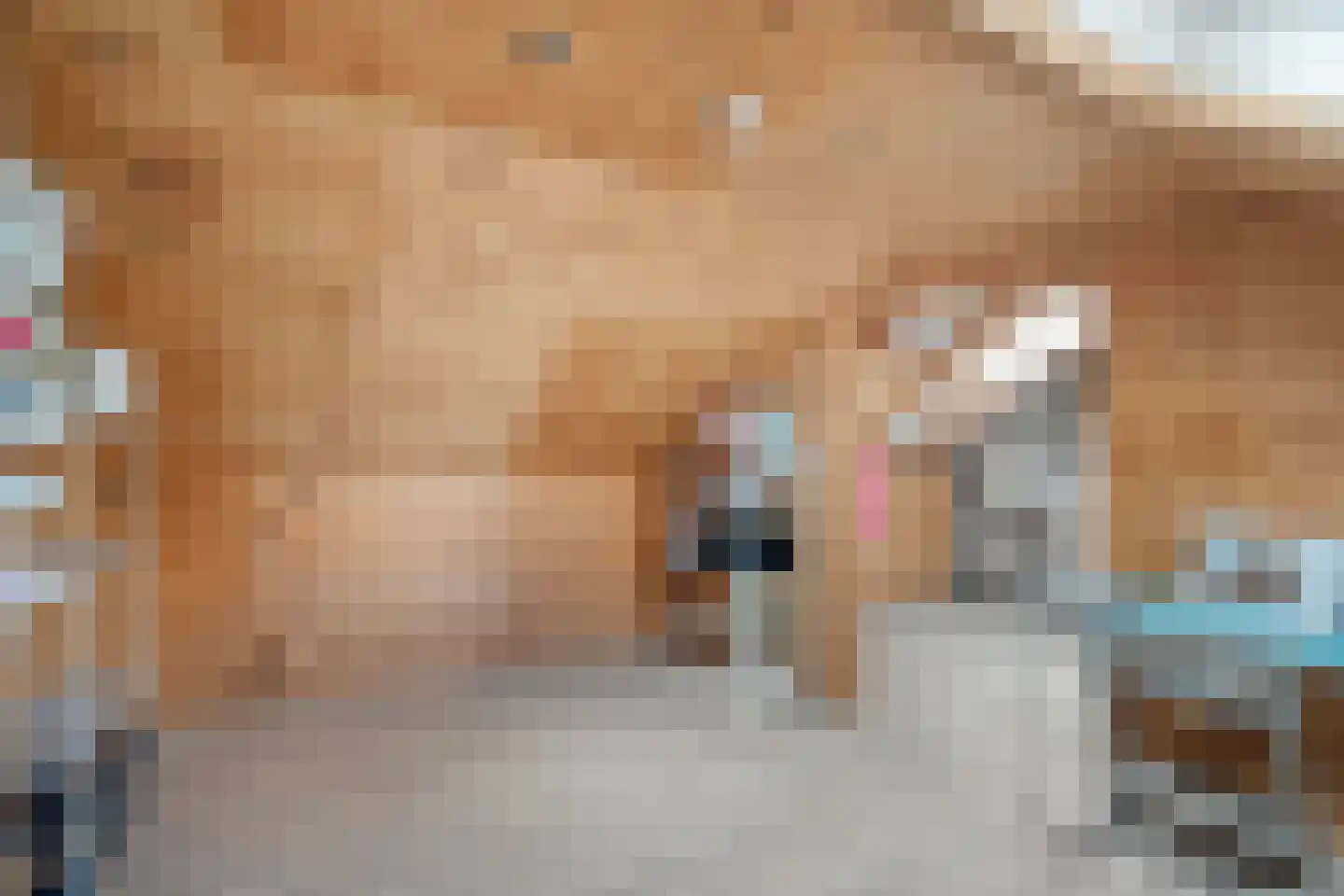 Populierenlaan 7 Wieringerwaard thumbnail 33