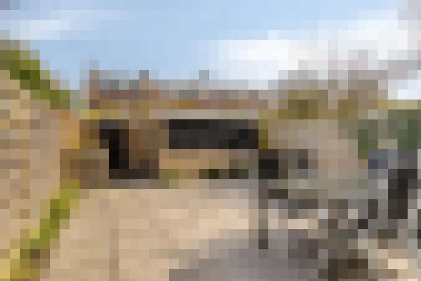 Populierenlaan 76 Amstelveen thumbnail 8