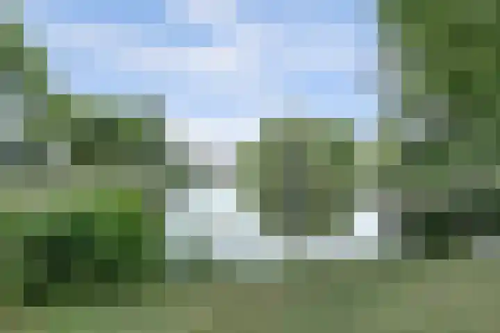 Populierenlaan 8 Hellum