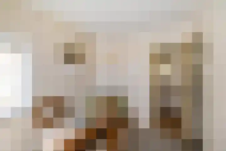 Populierenlaan 8 Hellum thumbnail 12