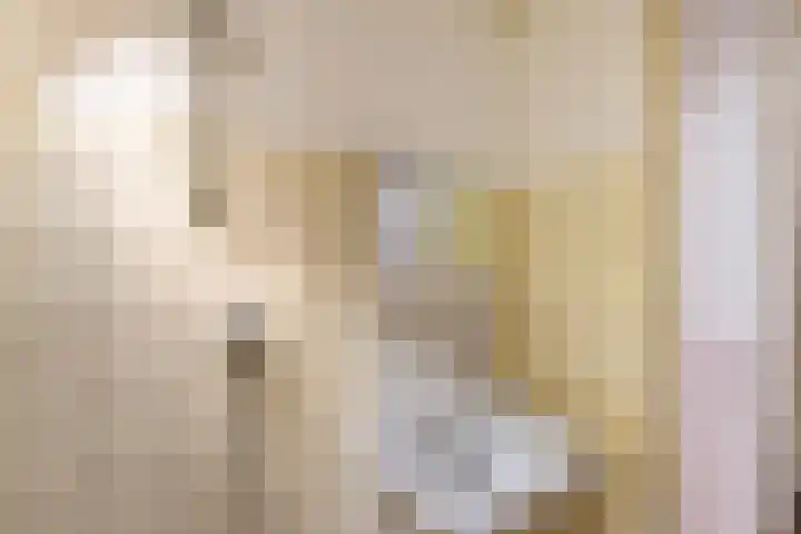 Populierenlaan 8 Hellum thumbnail 20