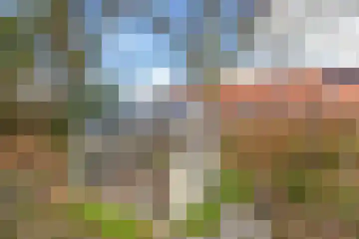 Populierenlaan 8 Hellum thumbnail 27