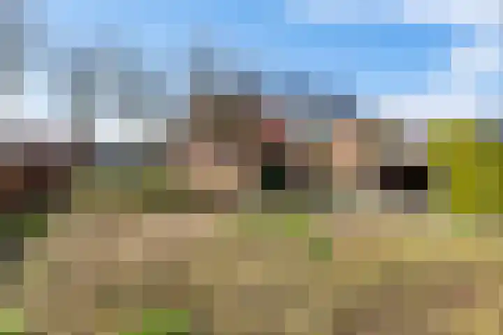 Populierenlaan 8 Hellum thumbnail 28