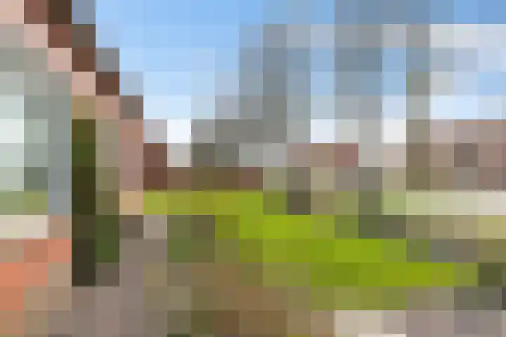 Populierenlaan 8 Hellum thumbnail 4