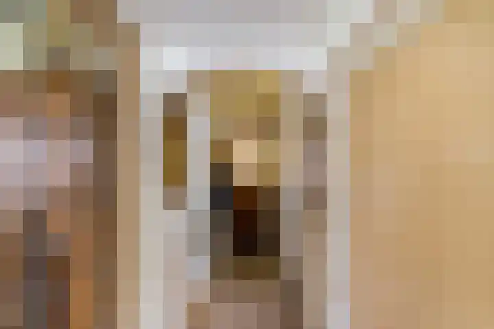 Populierenlaan 8 Hellum thumbnail 5