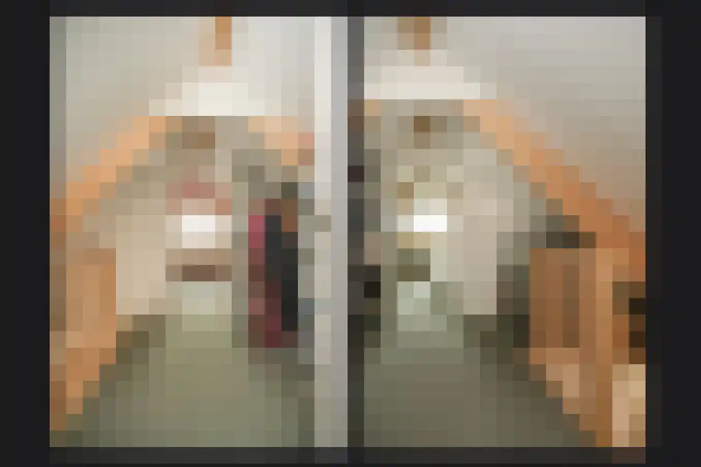 Populierenlaan 8 Velddriel thumbnail 16
