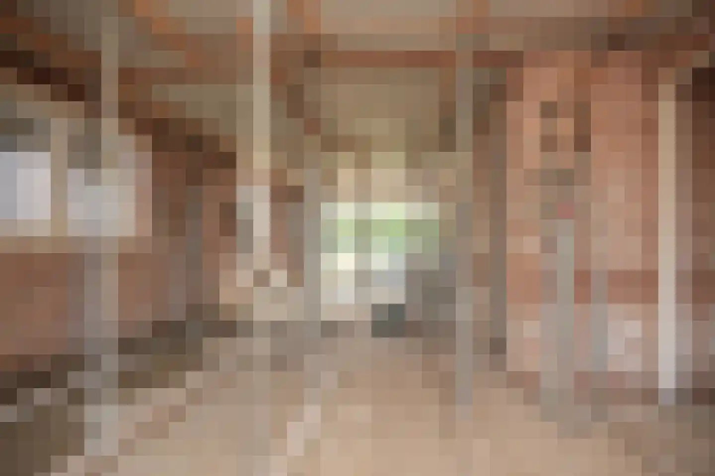 Populierenlaan 8 Velddriel thumbnail 20