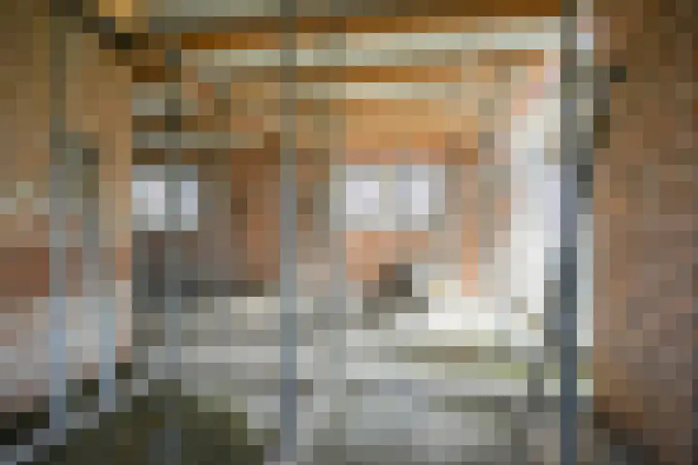 Populierenlaan 8 Velddriel thumbnail 25