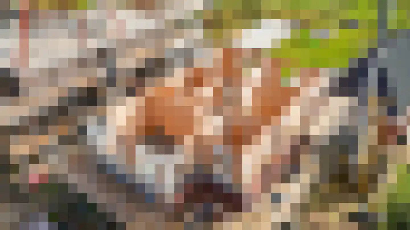 Populierenlaan 8 Velddriel thumbnail 36
