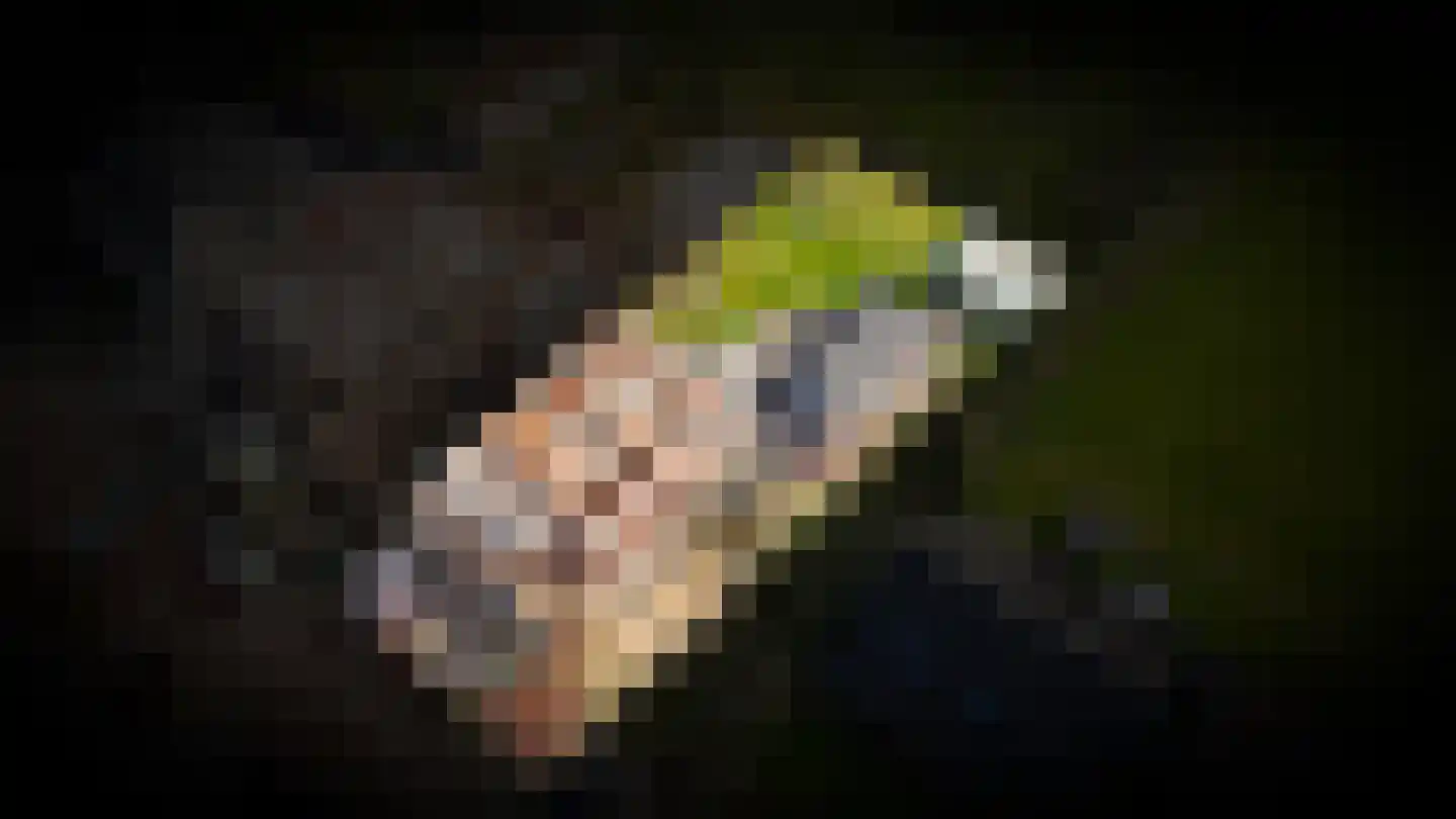 Populierenlaan 8 Velddriel thumbnail 37