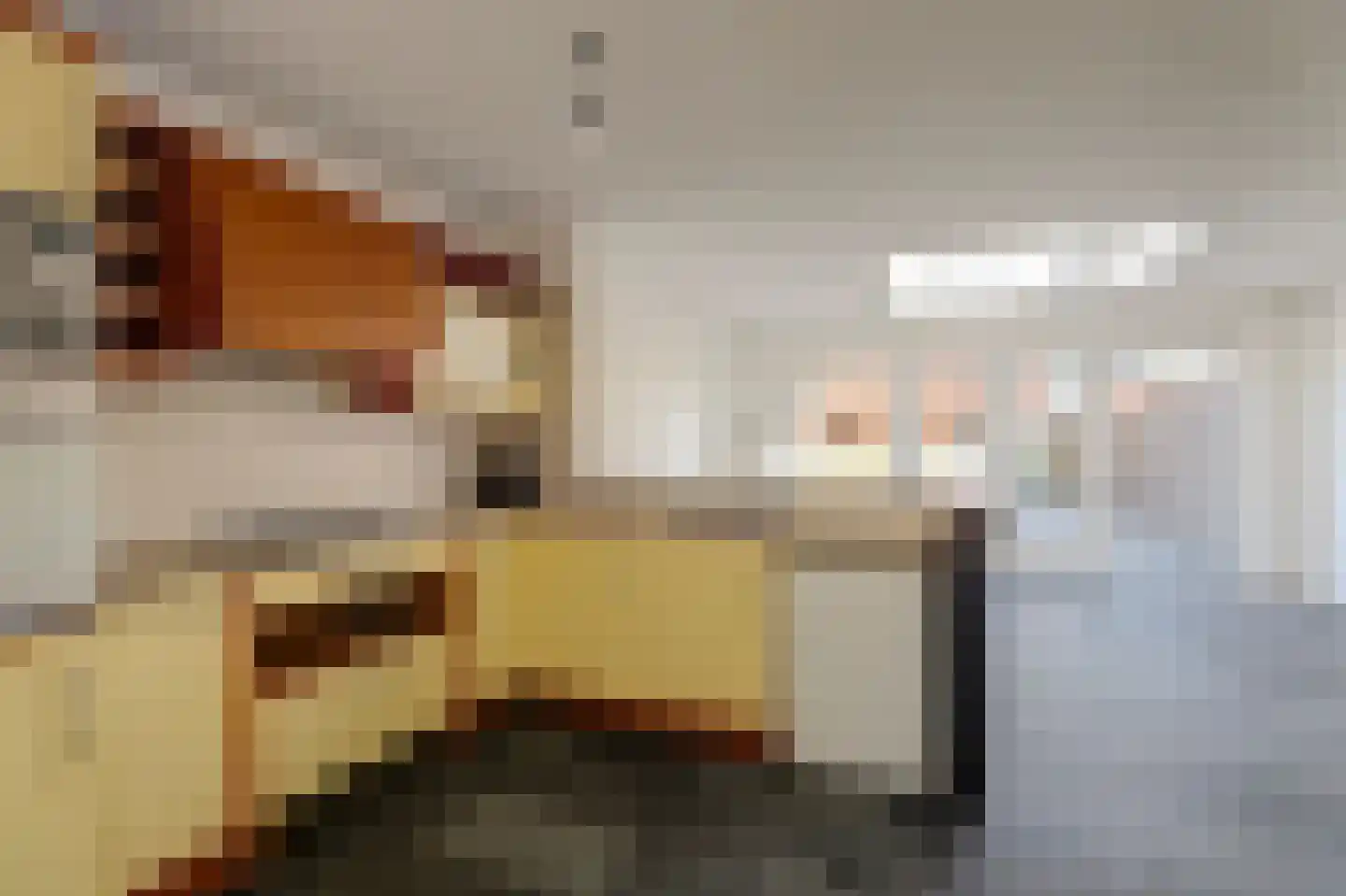 Populierenlaan 80 Emmer-Compascuum thumbnail 6