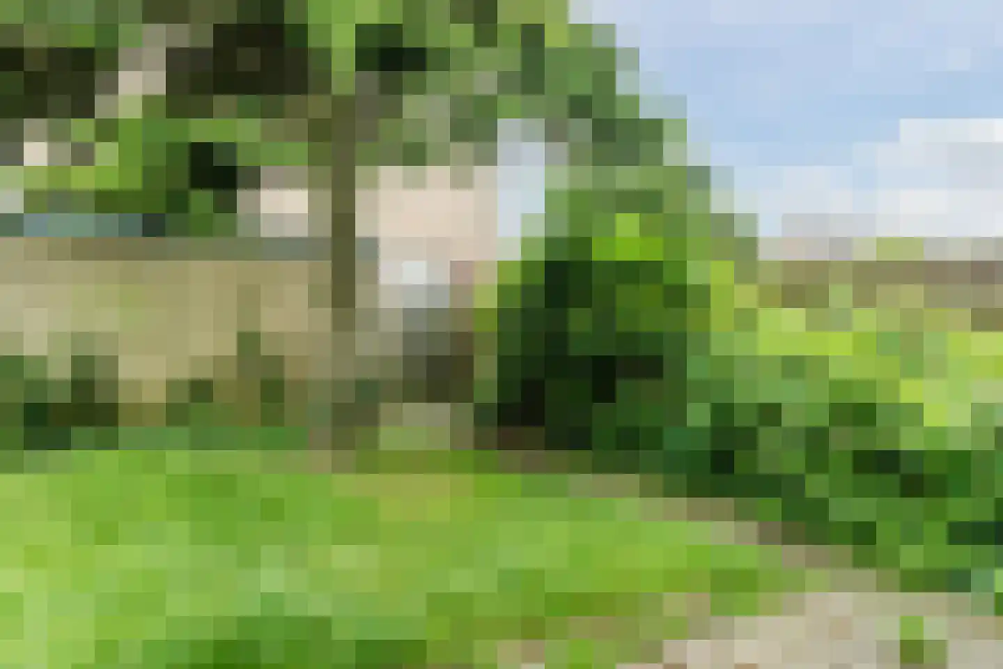 Populierenlaan 80 Schagen thumbnail 35