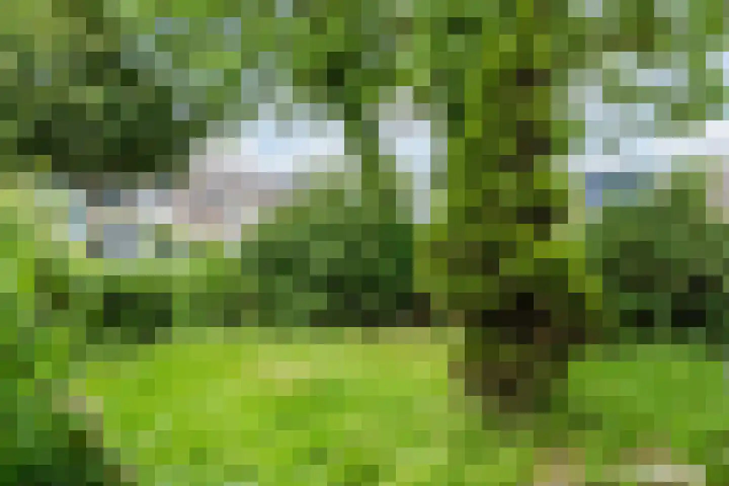 Populierenlaan 80 Schagen thumbnail 38