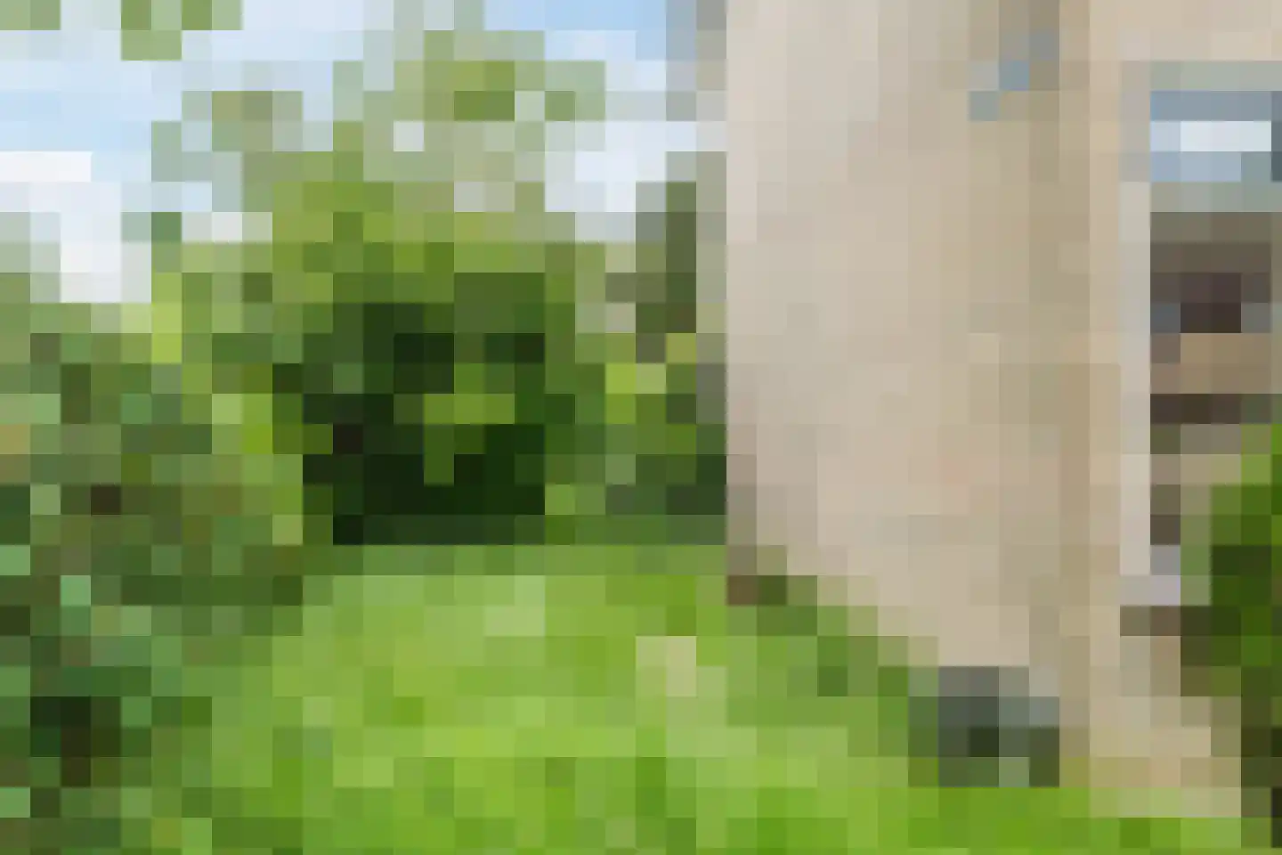 Populierenlaan 80 Schagen thumbnail 39