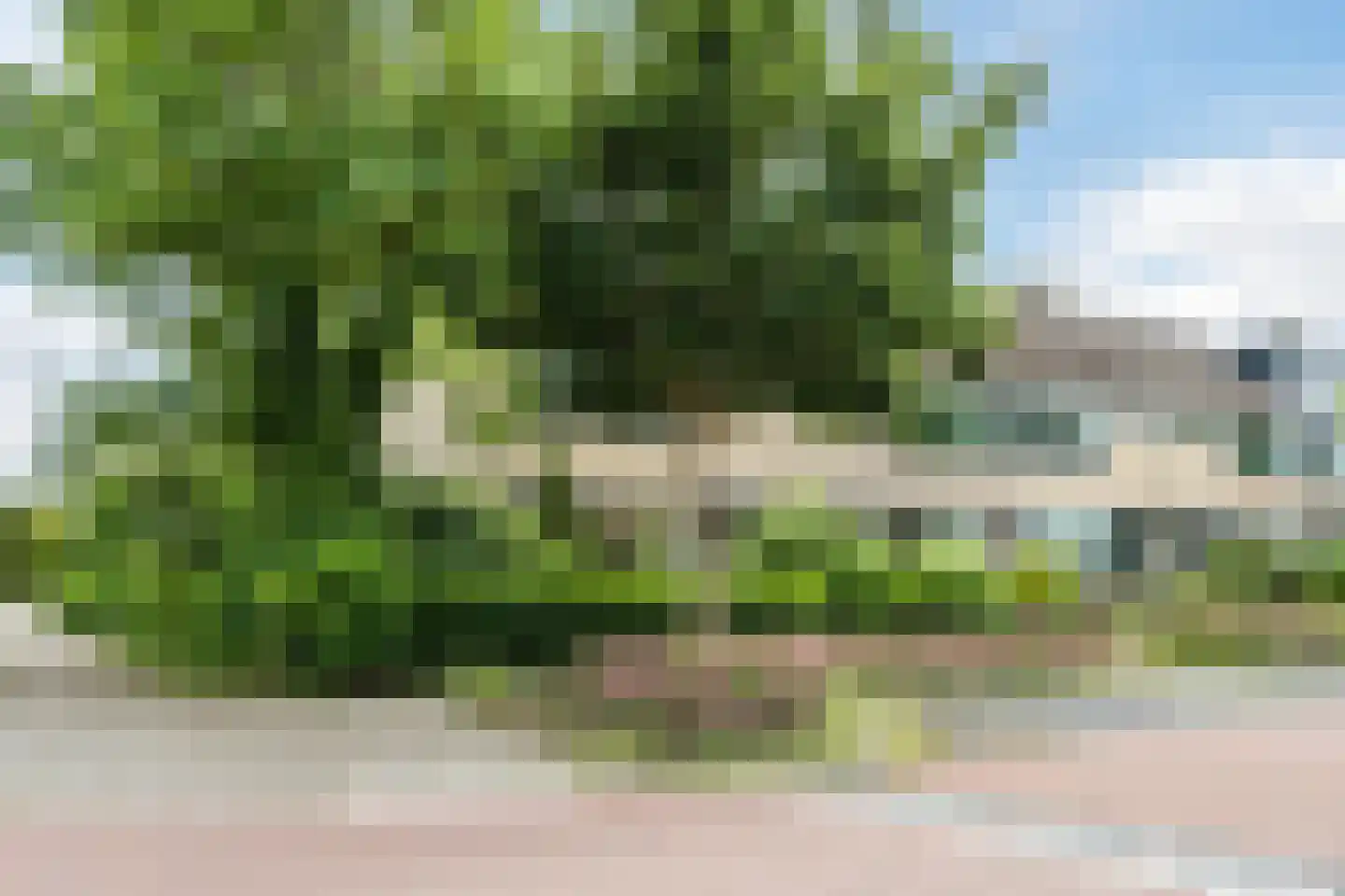Populierenlaan 80 Schagen thumbnail 41