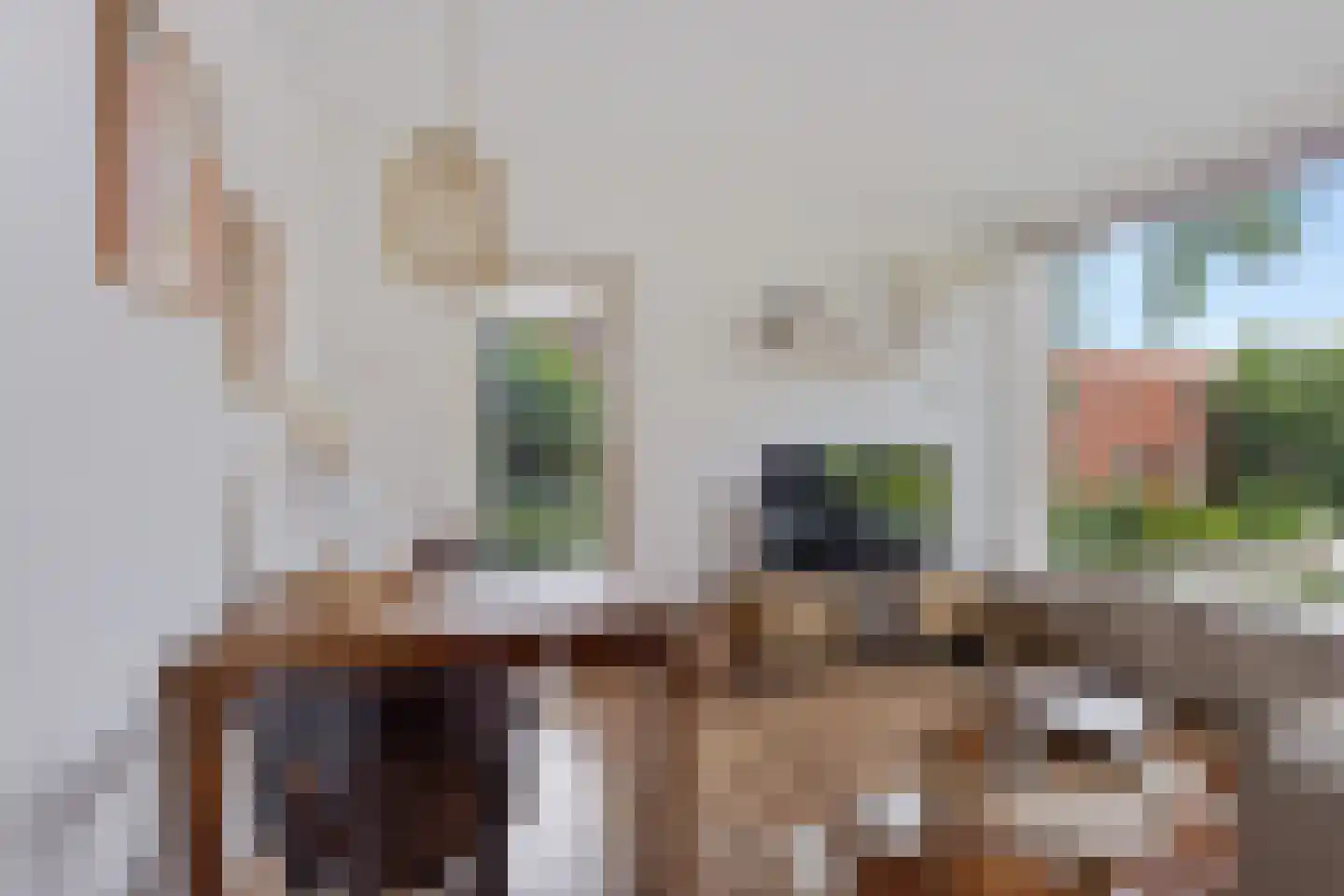 Populierenlaan 89 Groningen thumbnail 21