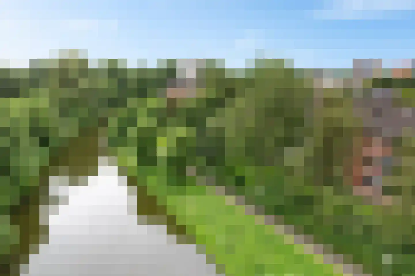 Populierenlaan 89 Groningen thumbnail 34