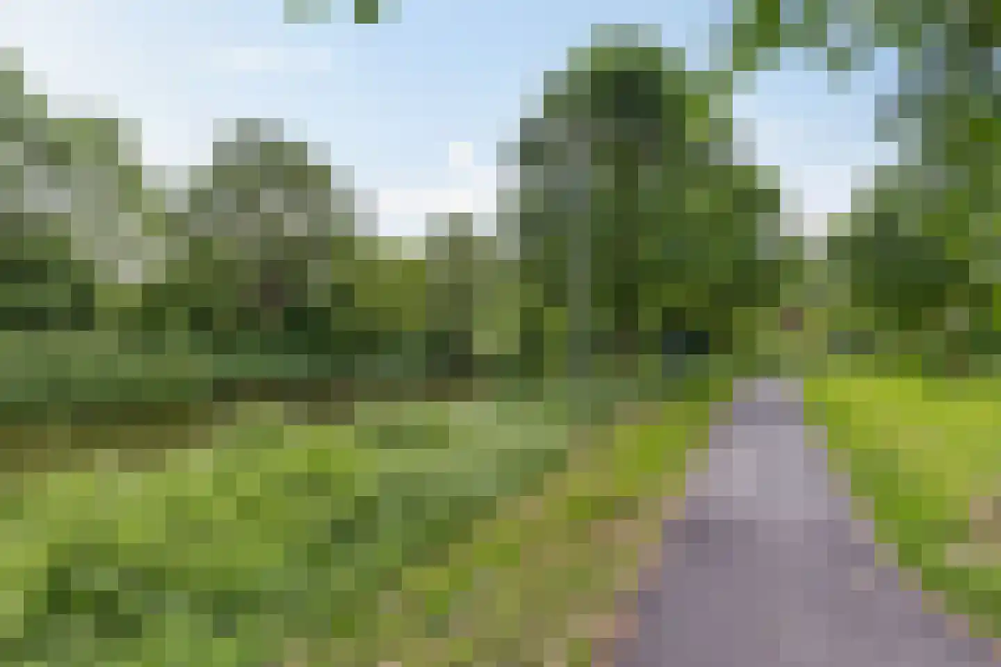 Populierenlaan 89 Groningen thumbnail 38